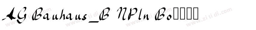 AG Bauhaus_B NPln Bo字体转换